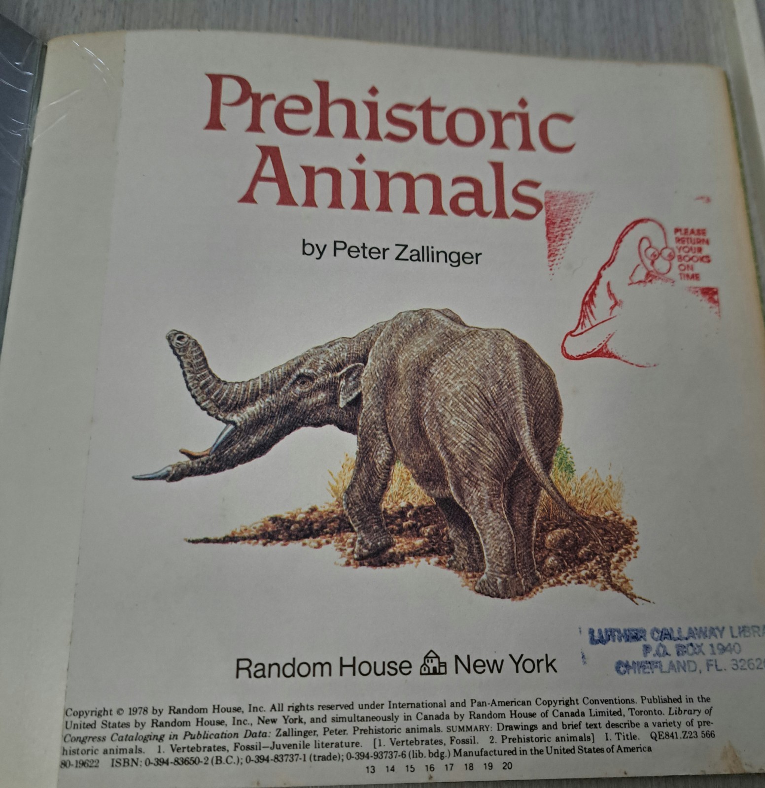 Lot of 7 Dinosaur Prehistoric Era Educational Kids Children Books Dinosaurs 🦕