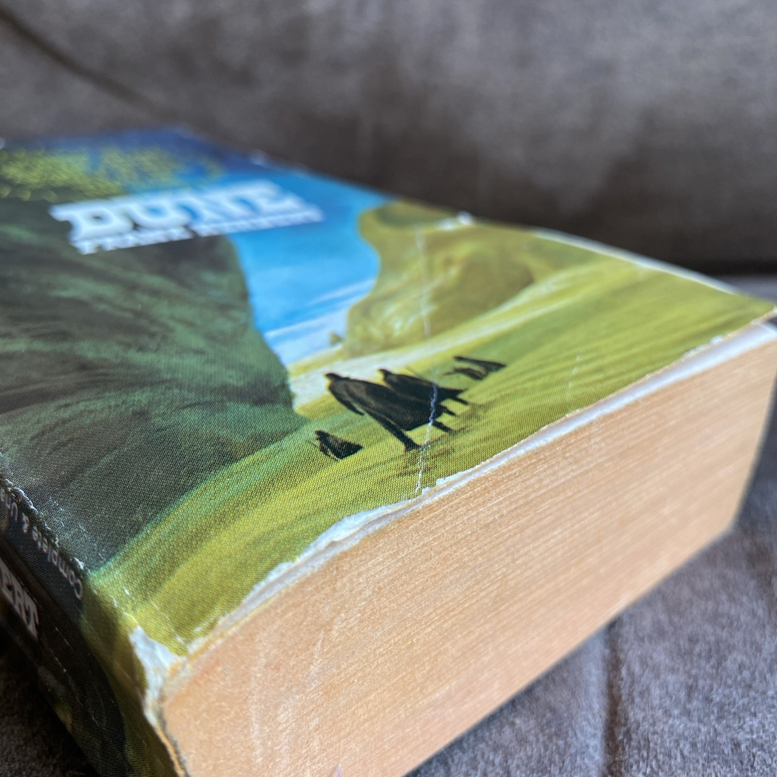 DUNE Frank Herbert 1965 vintage paperback $1.25 Ace Book 17261