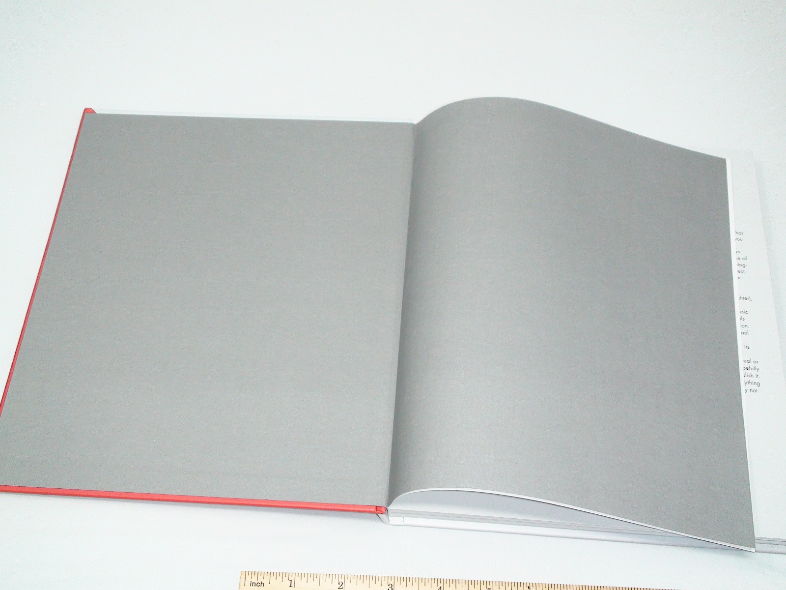 DeLorean Motor Company Hardcover Book – 192 Pages by Matt Stone