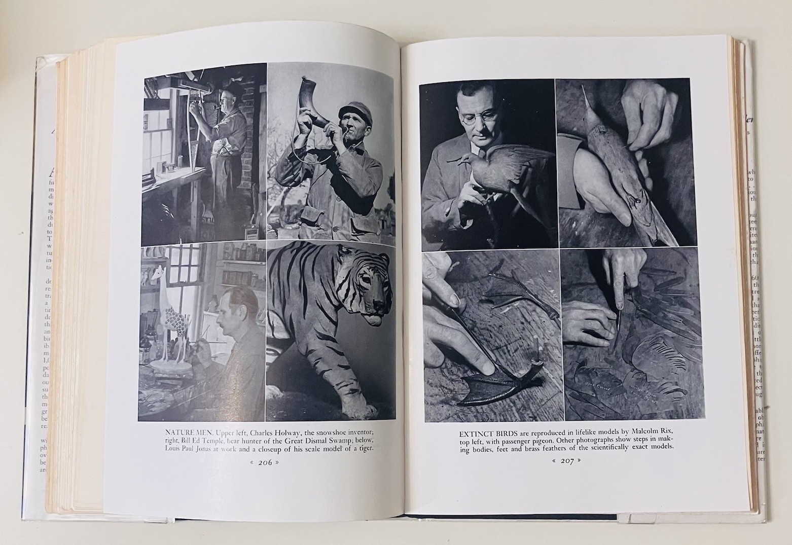 The Lost Woods – Edwin Way Teale – 1945 HC 1st Ed w/ Dust Jacket