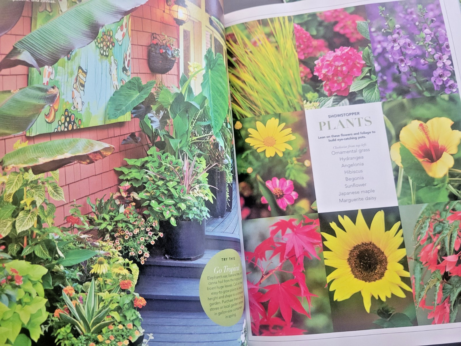 Container Gardening by BH&G – 100 Easy-Care Combos for Sun or Shade- Like A Pro
