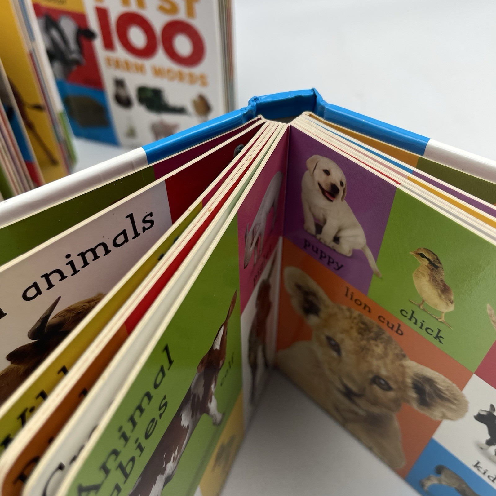 First 100 Animals First 100 Words First 100 Farm Words Lot of 3 Various Cond.