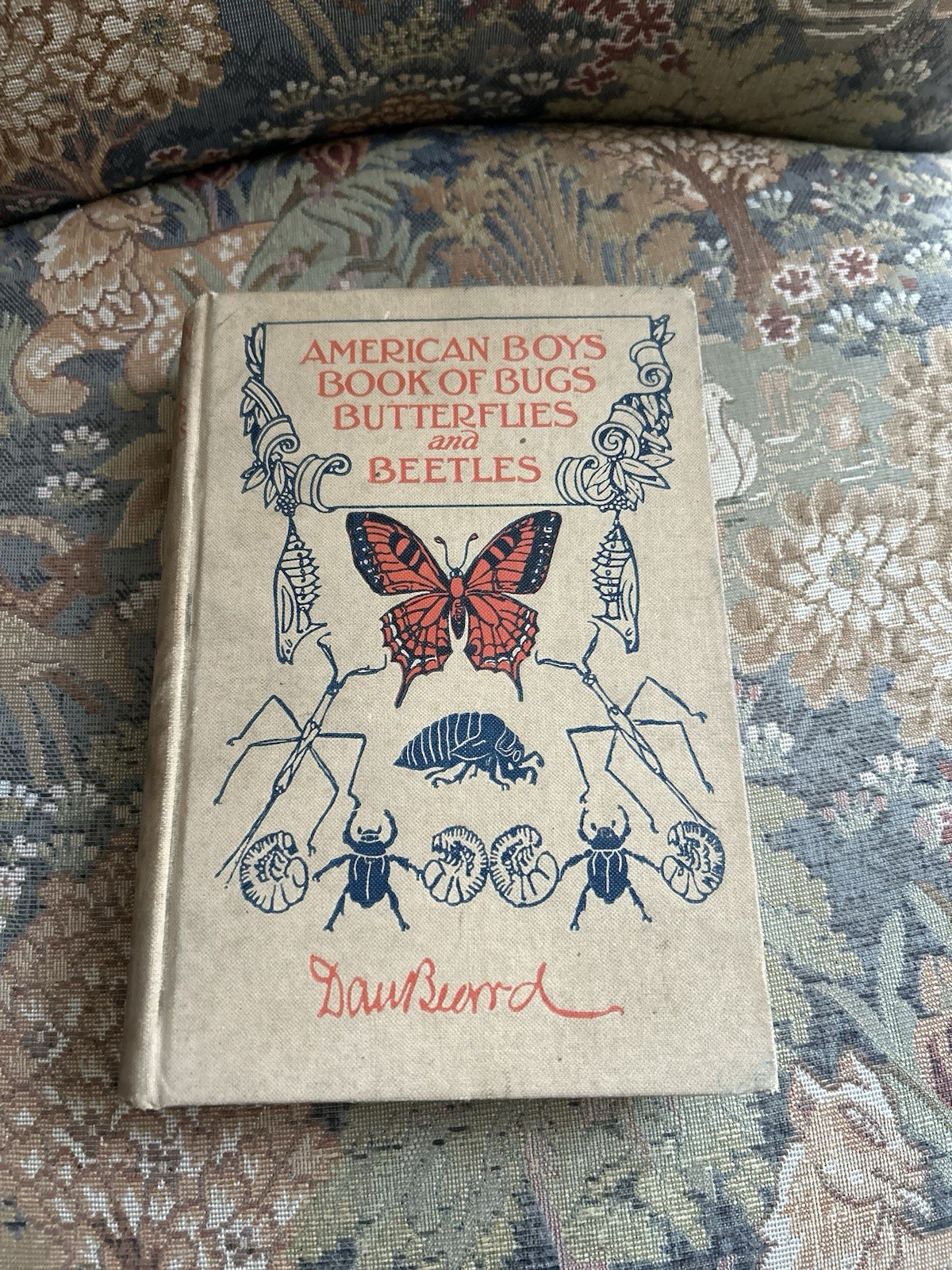 American Boys Book of Bugs Butterflies and Beetles Dan Beard 1932 Scarce