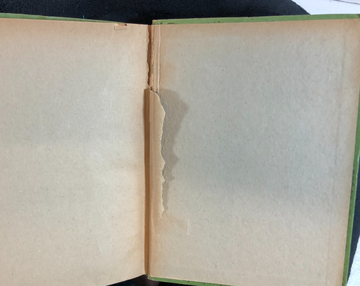 Le Comte de Monte-Cristo, 2 volumes, Dumas, 1938, E-120