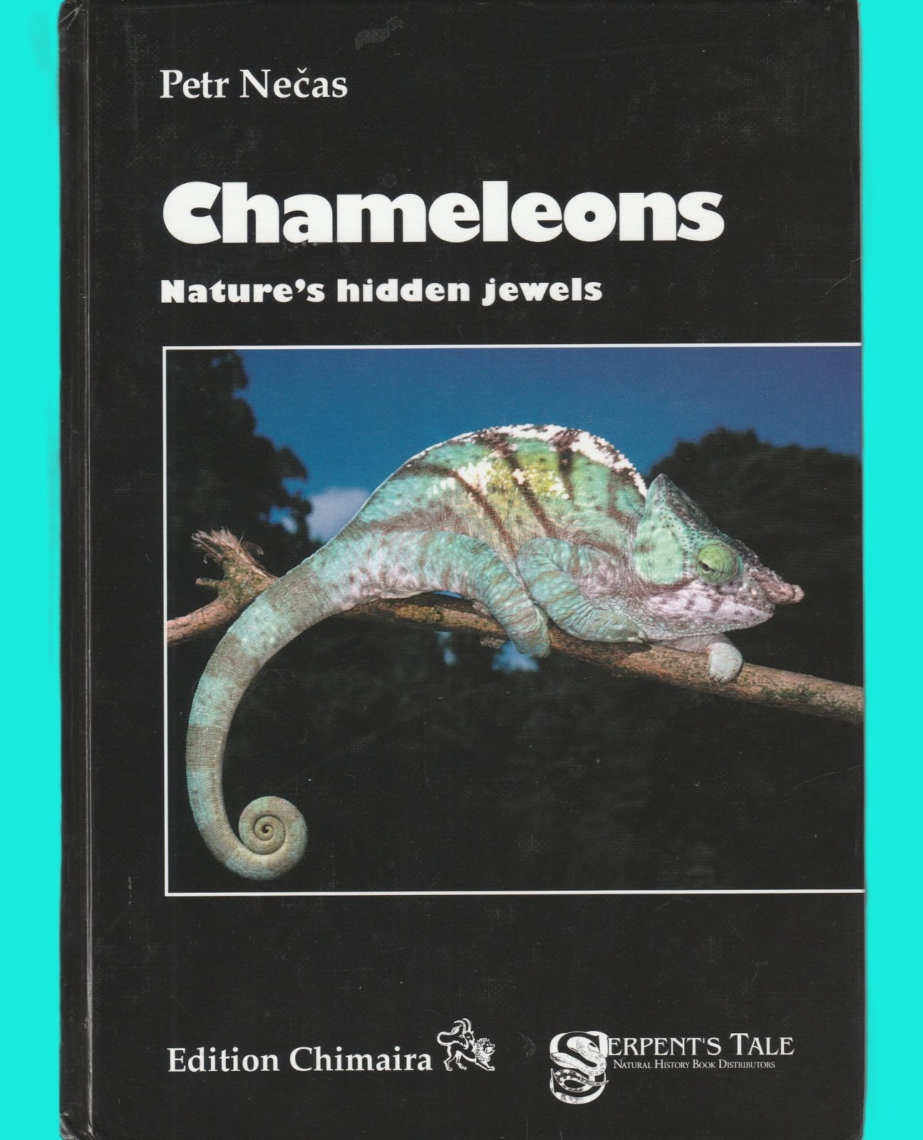 Chameleons Nature’s Hidden Jewels Petr Necas Herpetology Reptiles Lizards 2 ed.