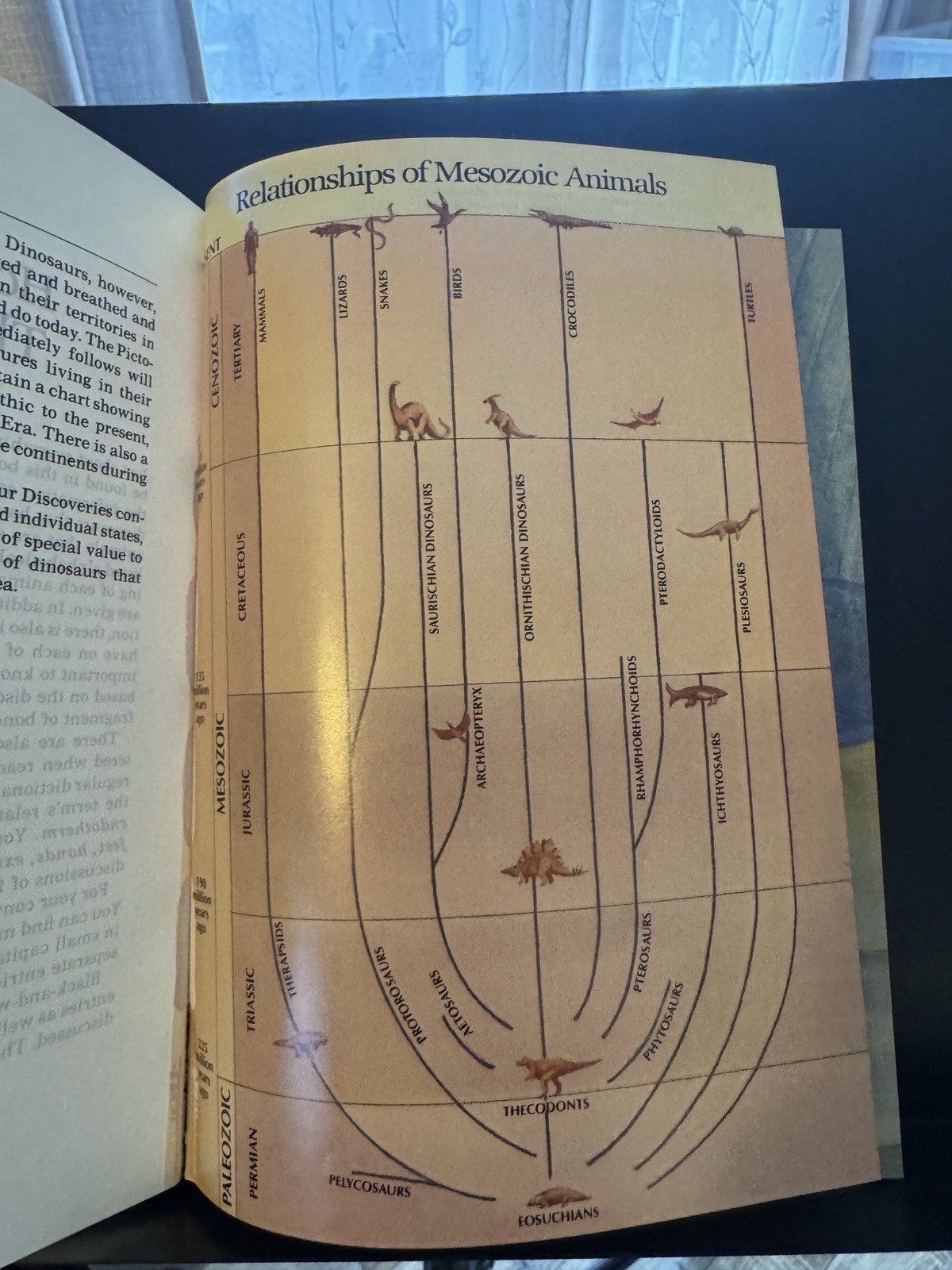 The Illustrated Dinosaur Dictionary by Helen Roney Sattler