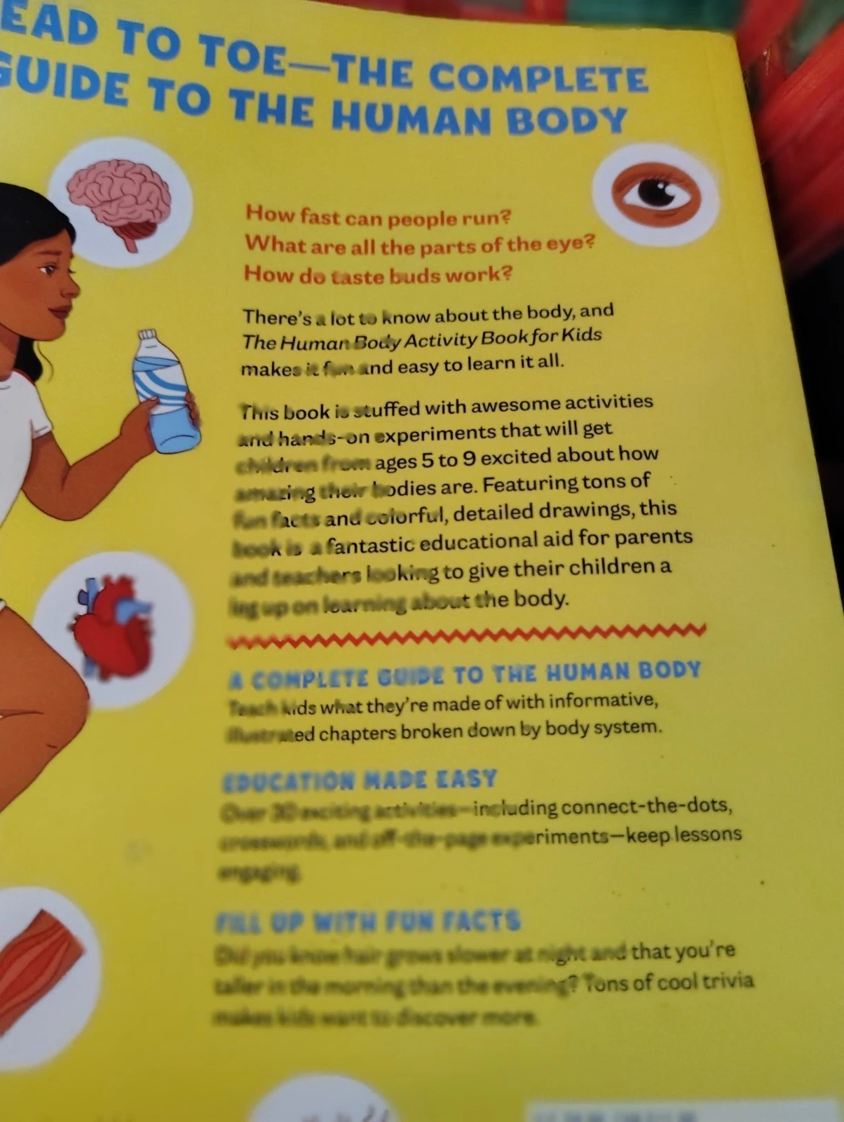 Human Body Activity Book for Kids : Hands-On Fun for Grades K-3 by Katie Stokes
