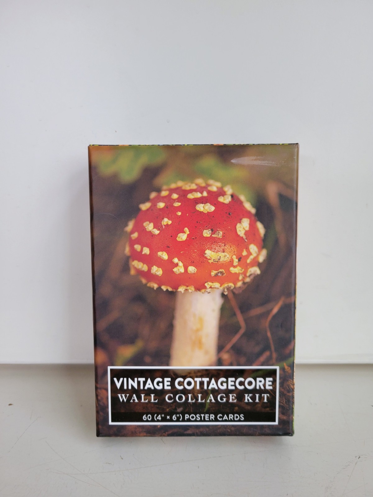 Vintage Cottagecore Wall Collage Kit: 60 (4″ x 6″) Poster Cards by Adams Media
