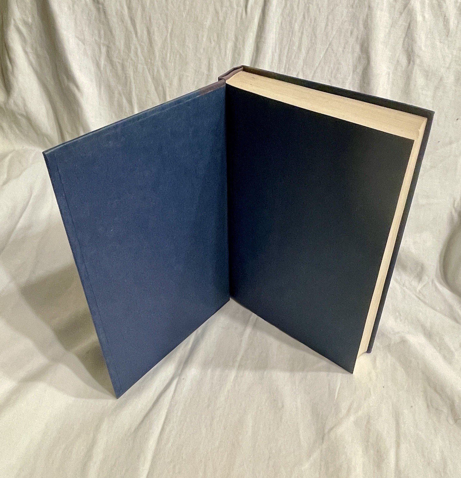 The White Plague – first edition, first printing – Frank Herbert 1982