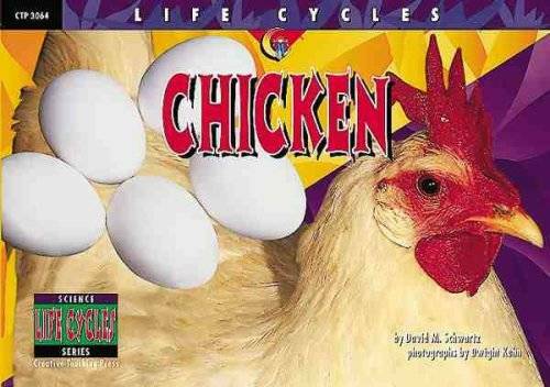 Chicken (Life Cycles) – Paperback By Schwartz, David M. – GOOD