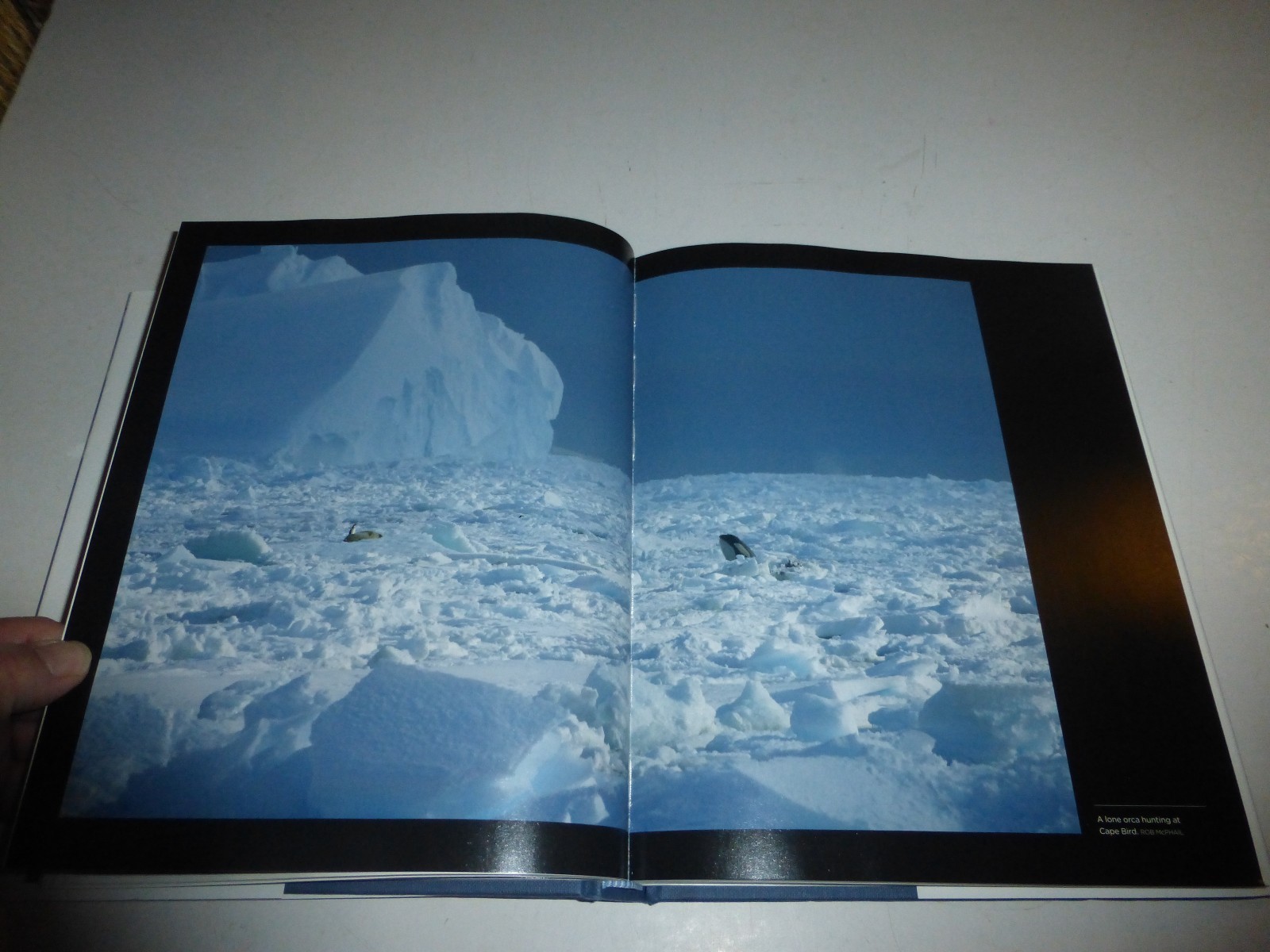 Secrets of the Ice: Antarctica’s Clues to Climate, the Universe, the Limits 315