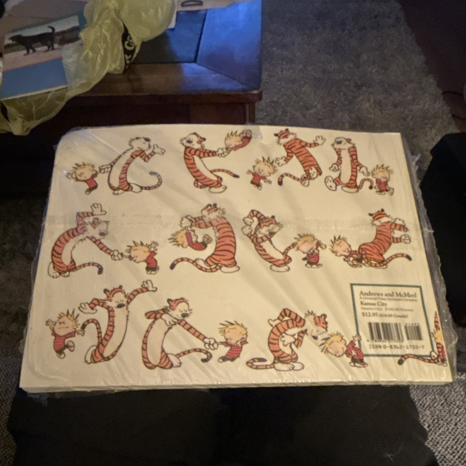 Bill Watterson The Days Are Just Packed Paperback Calvin and Hobbes Comic Book
