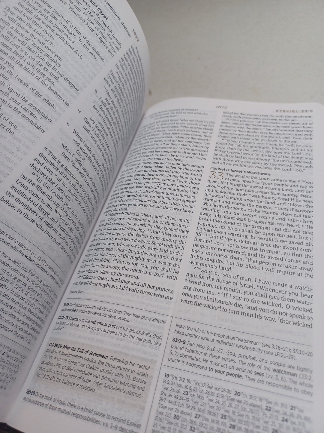 ESV Student Study Bible TruTone Chestnut 2011 Crossway