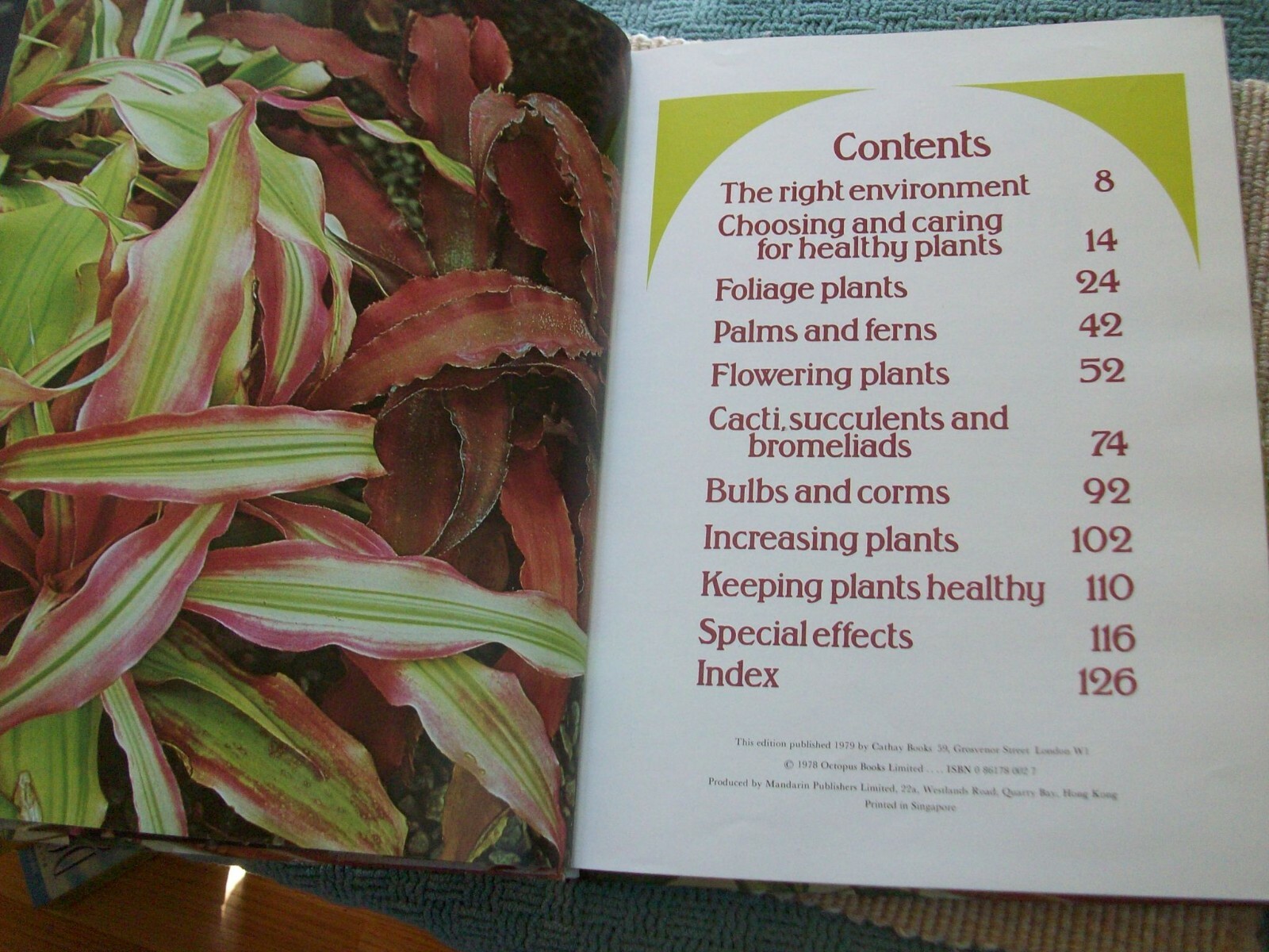 Colorful Houseplants by David Squire and Peter McHoy (1979,hardcover) gardening