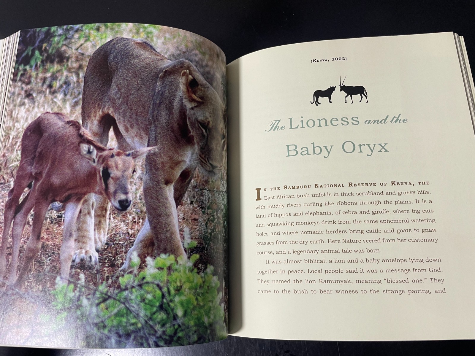 UNLIKELY FRIENDSHIPS BY JENNIFER S. HOLLAND 47 STORIES FROM THE ANIMAL KINGDOM