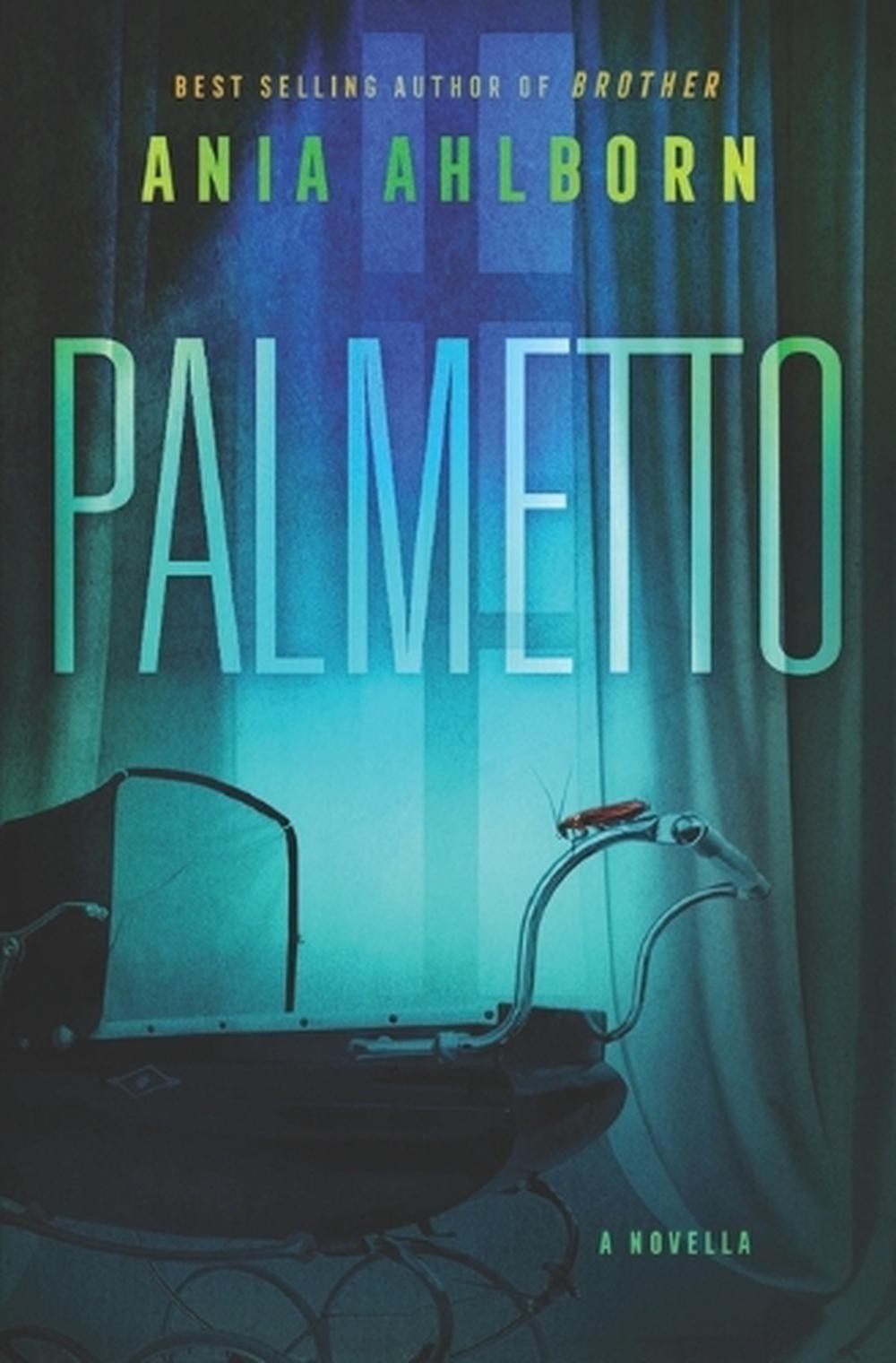 Palmetto by Ania Ahlborn Paperback Book