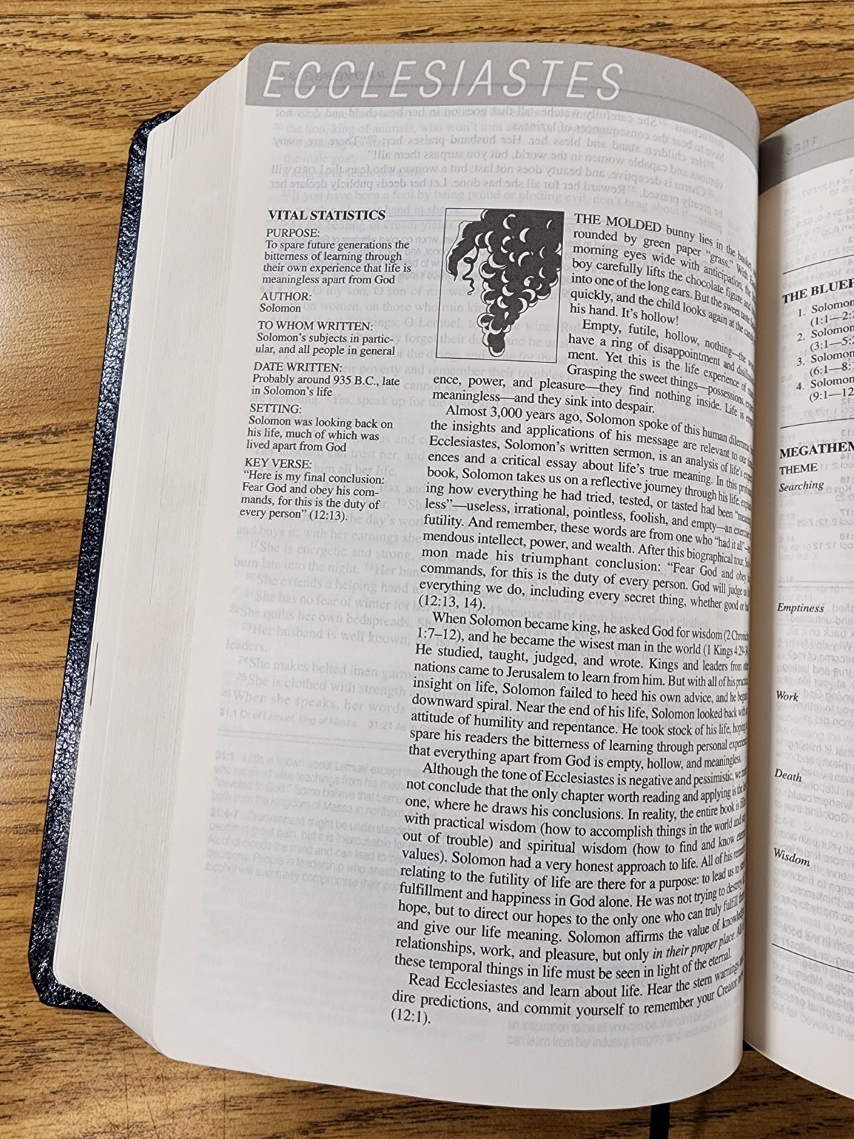 Life Application Study Bible New Living Translation Bonded Leather – 8.25″×5.5″
