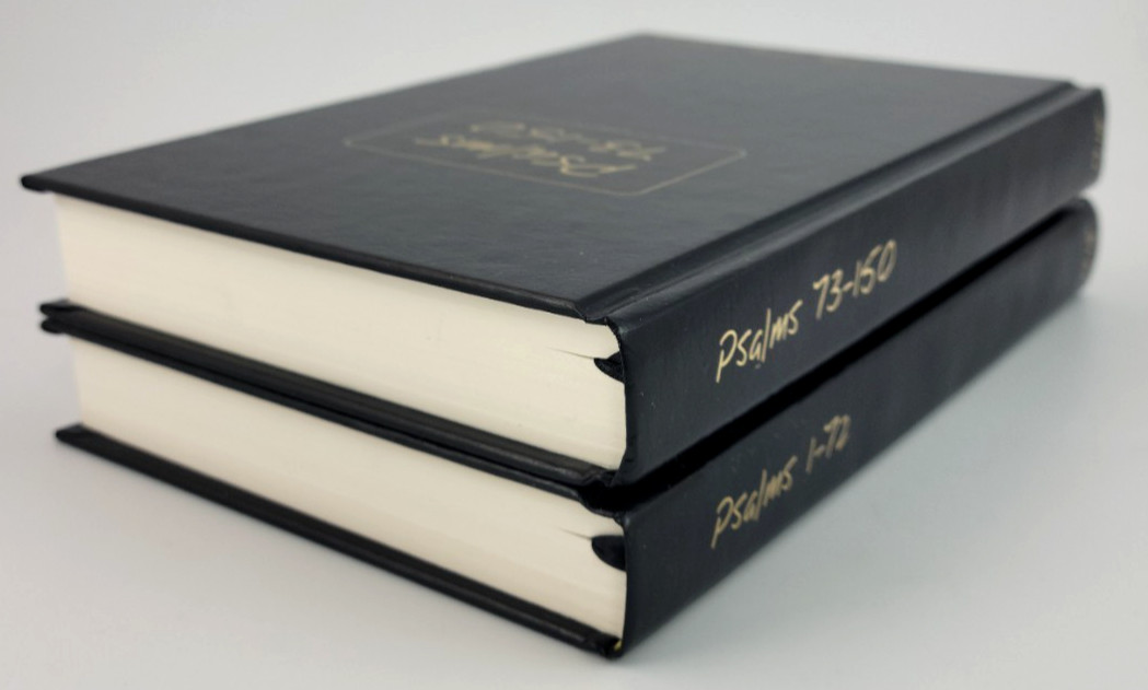 Psalms 2 Vol Set Journible The 17:18 Series Rob Wynalda Hardcover Bible Journal