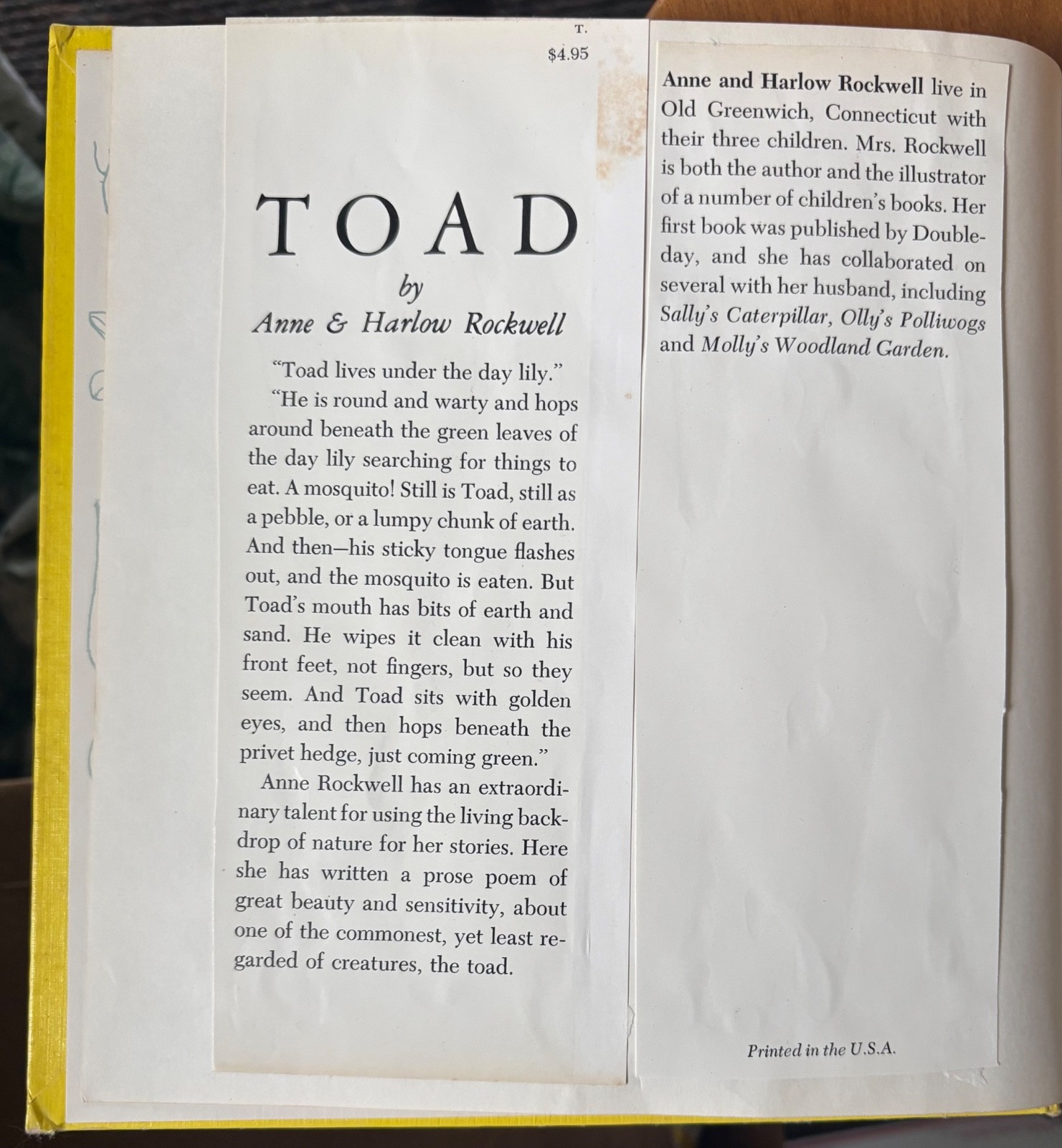 Toad by Anne Rockwell illustrated by Harlow Rockwell – Hardcover First Edition