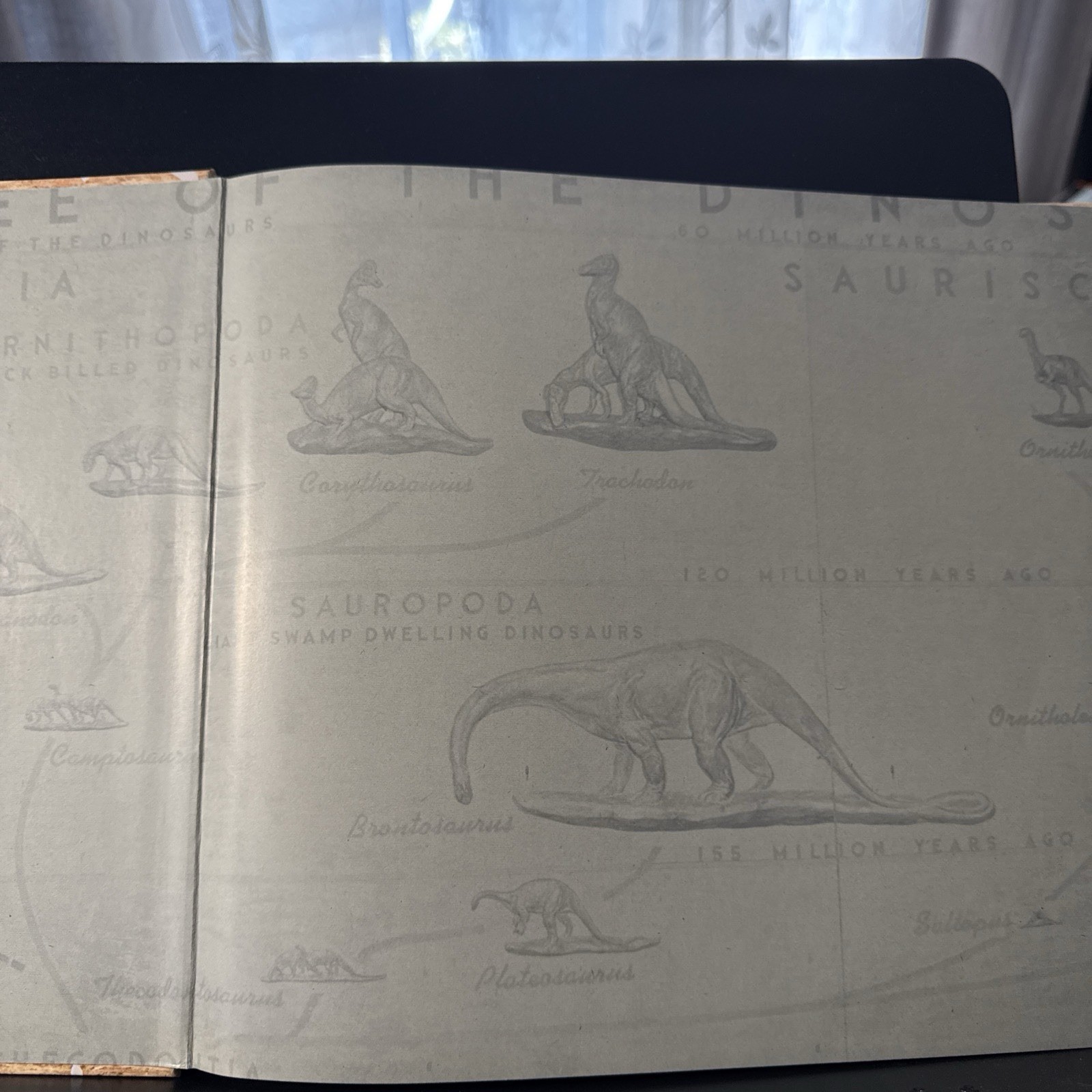 The Dinosaur Hunters | HC w/ 30 Fascimile Documents | Crate Case | Lowell Dingus