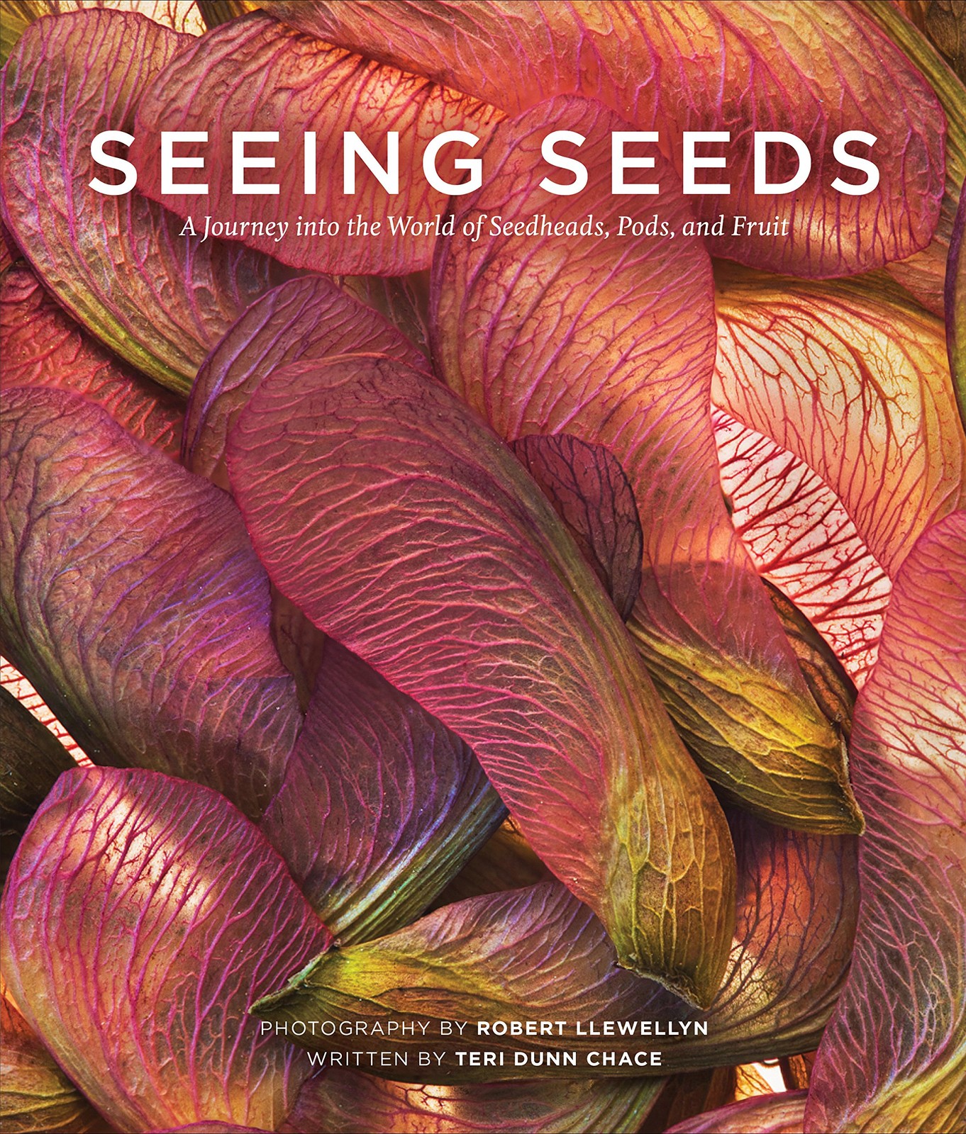 Seeing Seeds: A Journey into the World of Seedheads, Pods, and…