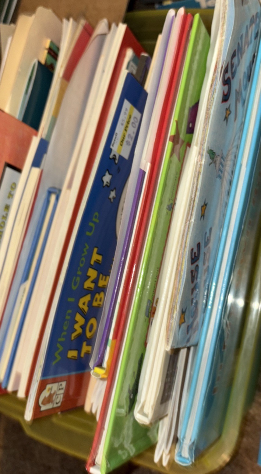 Many Boxes of Children’s Books – You Get 20 Lbs. All Different See Description
