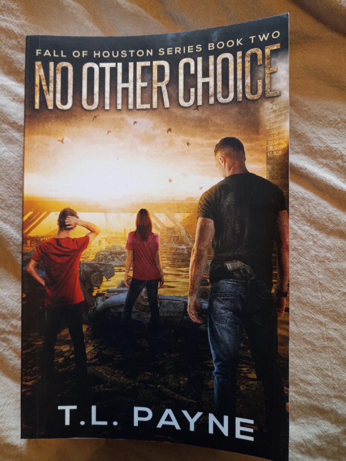 No Other Choice : A Post Apocalyptic EMP Survival Thriller (Fall of Houston) #2
