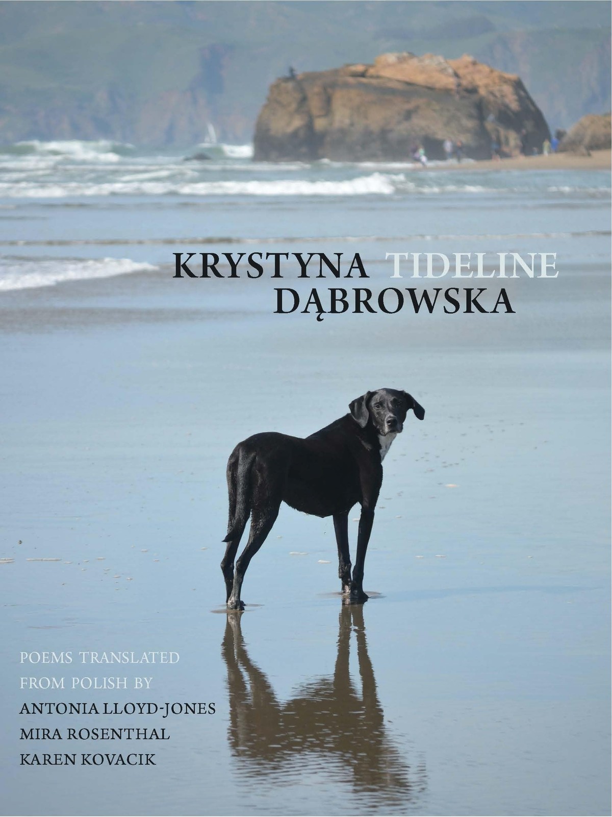 Tideline (New Polish Writing)