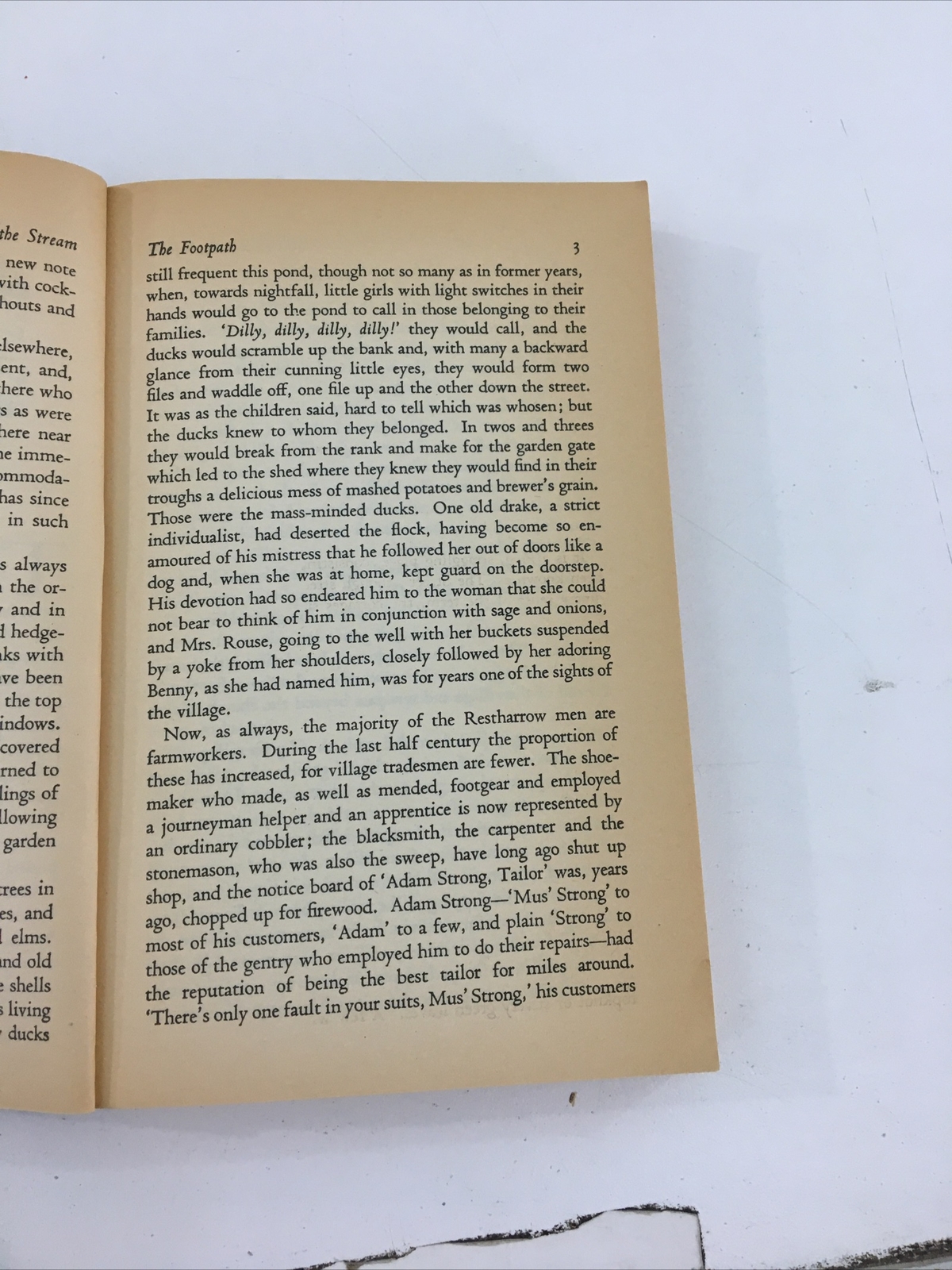 Still Glides The Stream – Flora Thompson (Paperback, 1983)