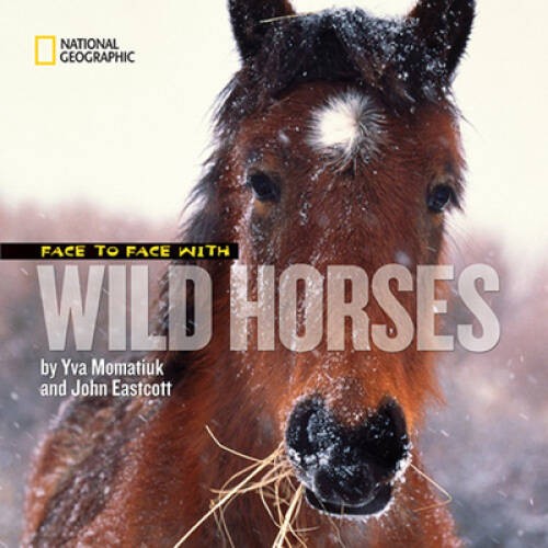 Face to Face With Wild Horses (Face to Face with Animals) – VERY GOOD