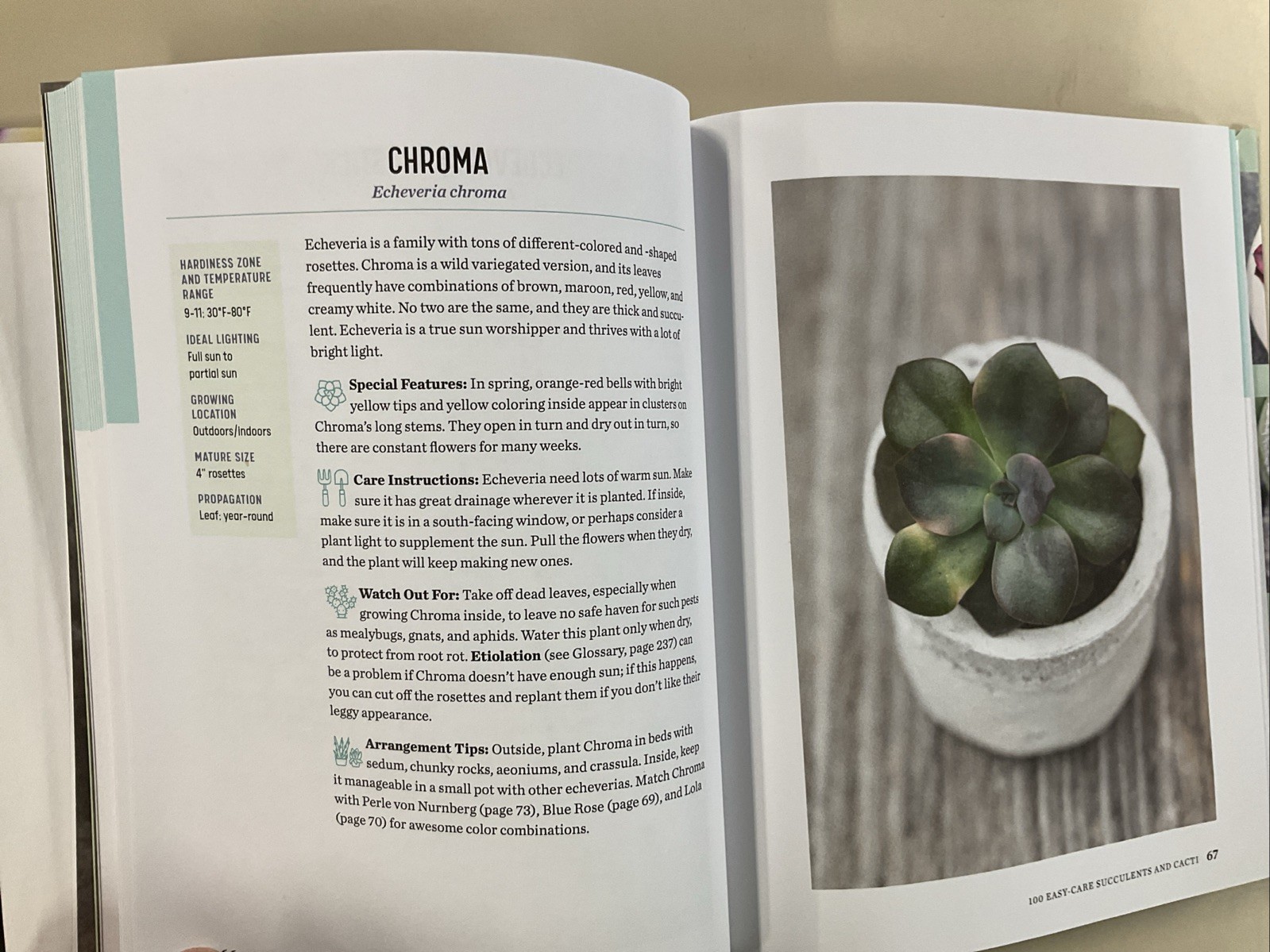 Succulent Obsession Complete Guide by Ken Shelf HC 2022 Rockridge Press