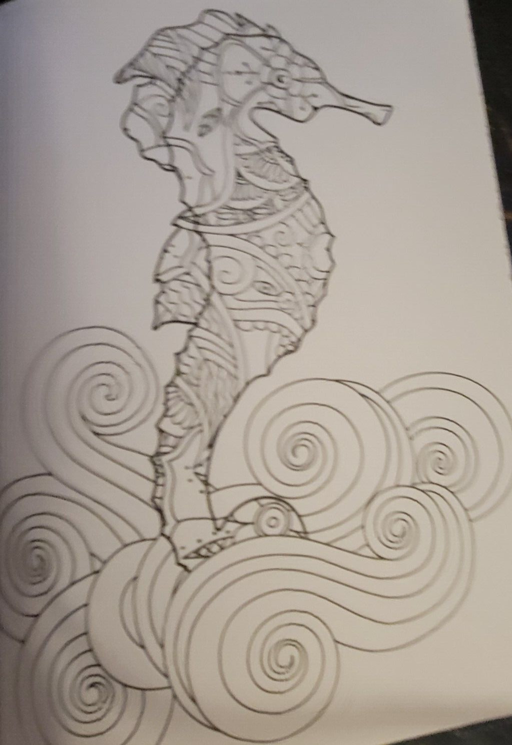 COLORS OF THE WILD Vol. 23 Adult Coloring Book With 47 Prints Ready To Frame!