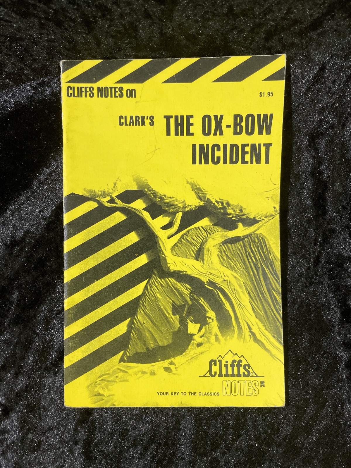 CliffsNotes – Select from several titles – volume discount – Atlas Shrugged &