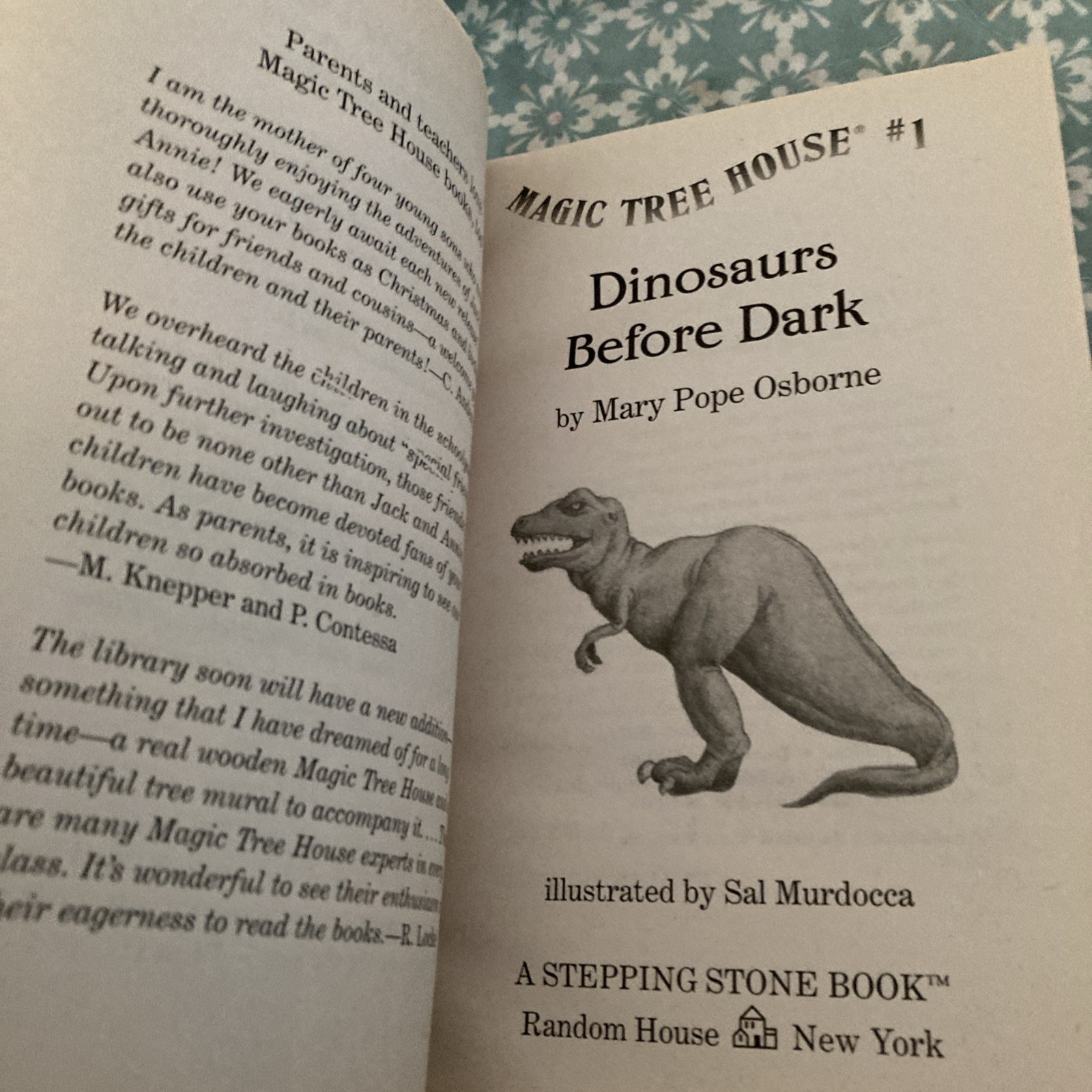 Dinosaurs Before Dark by Mary Pope Osborne (1992, Digest Paperback)