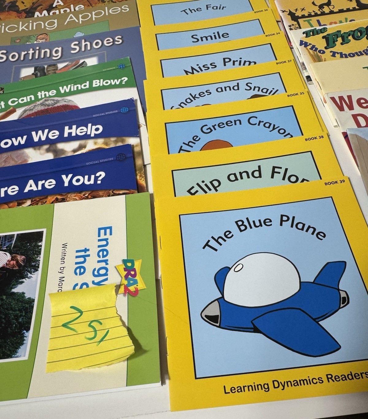 Newmark Learning Dynamics Readers I Can Read About Phonics Easy Read Child Lot