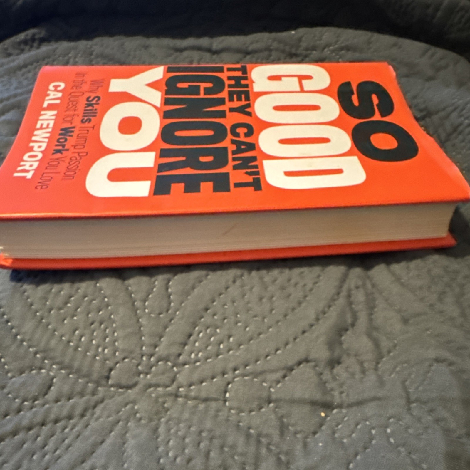 Cal Newport So Good They Can’t Ignore You Hardcover Career Nonfiction