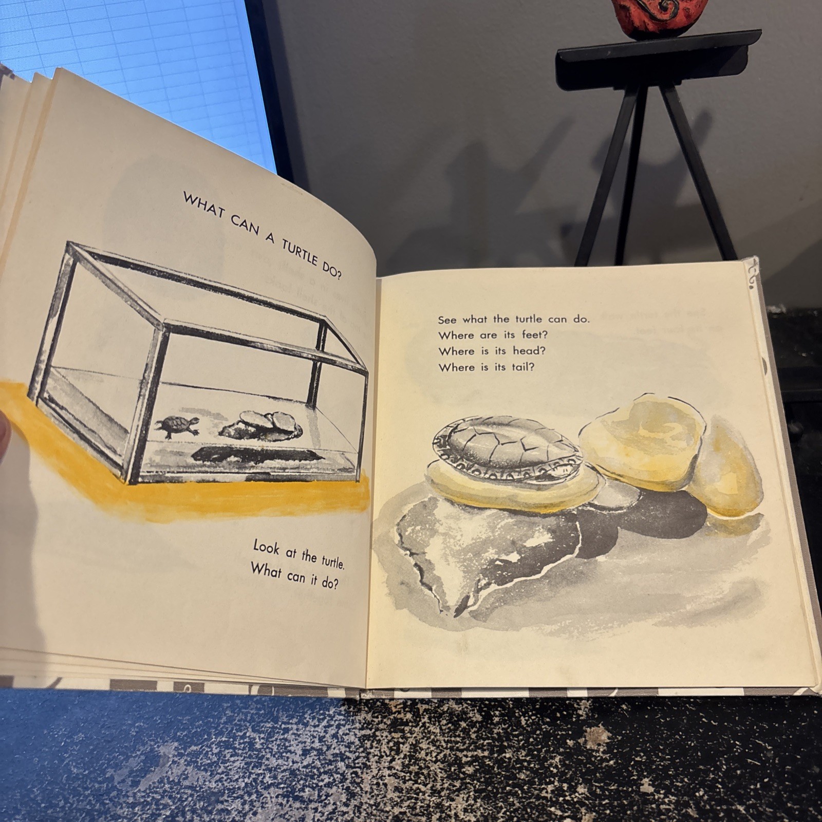 What is a Turtle [Hardcover] Gene Darby and Lucy and John Hawkinson 1959