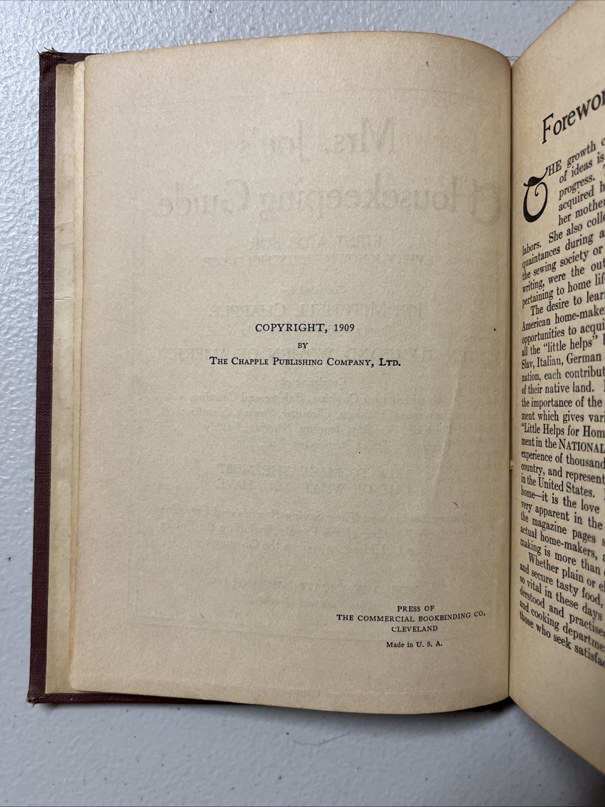 Mrs Joe’s Housekeeping Guide: First Aids for Every Known Household Use, 1909 HC