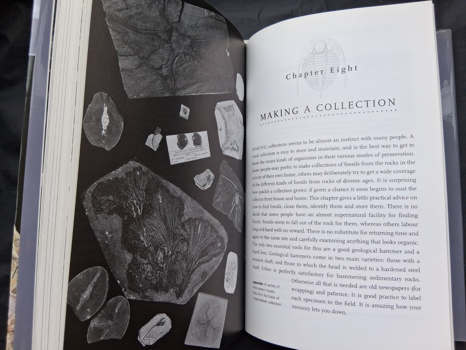 Fossils: The Key to the Past, hardcover book, by Richard Fortey
