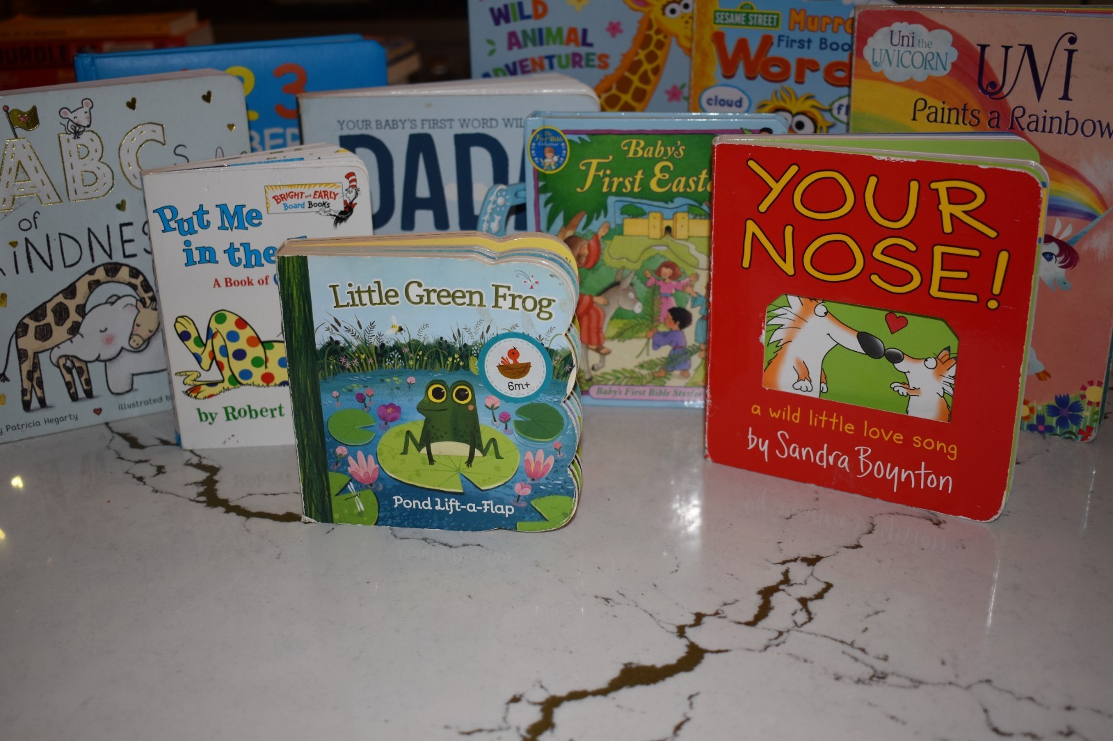 Random Lot of 10 – Books for Children’s/ Kids/ Toddler Babies/Preschool/Daycare