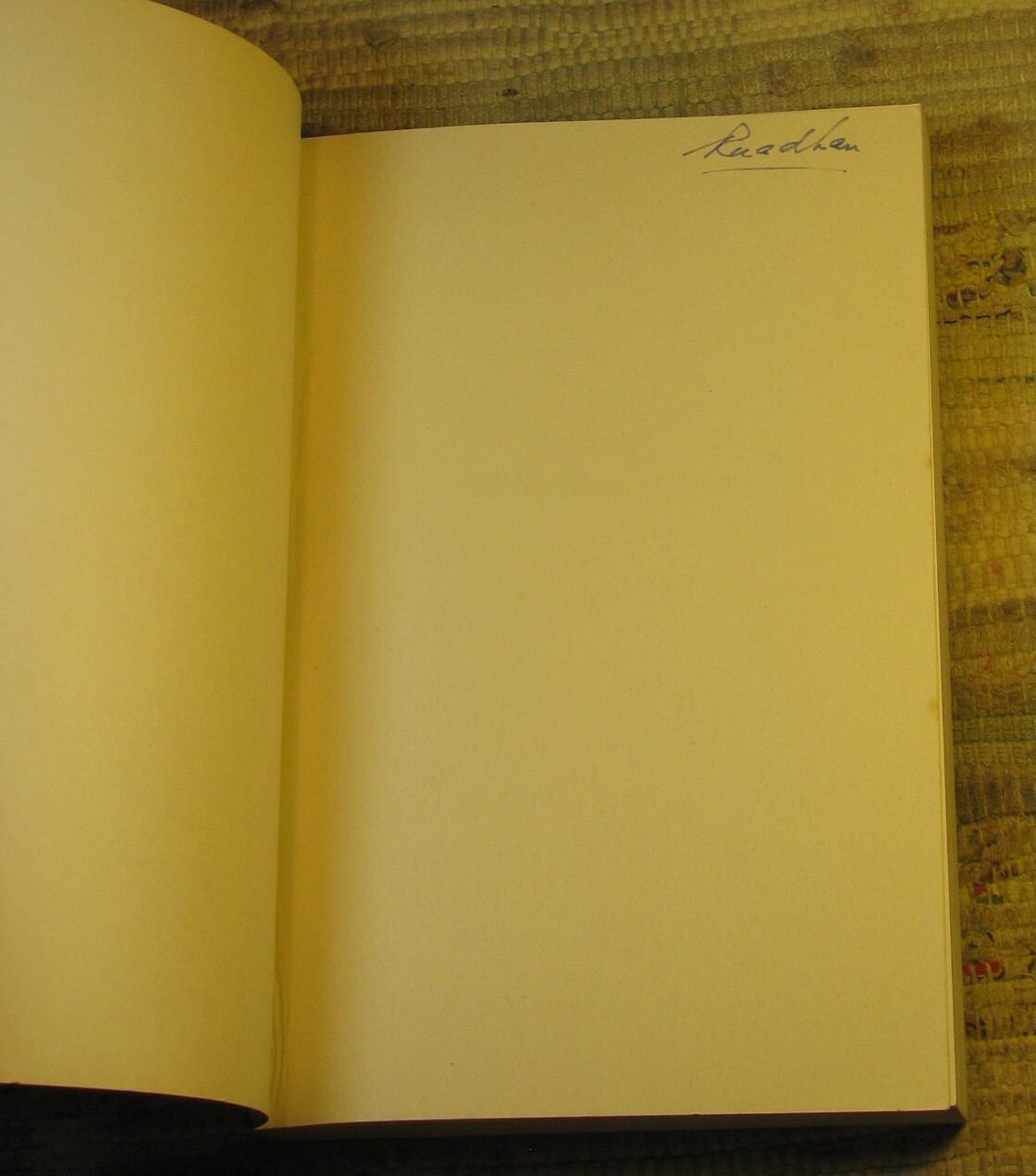 LETTERS OF RAINER MARIA RILKE 1892-1910 & 1910-1926 ©1972 Norton Library Paperba