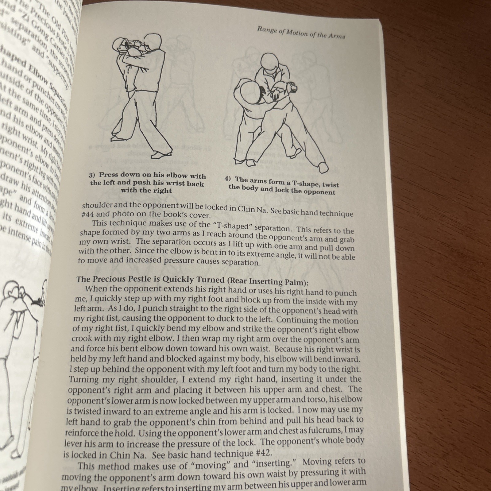 Practical Chin Na: A Detailed Analysis of the Art of Seizing and Locking LK NEW