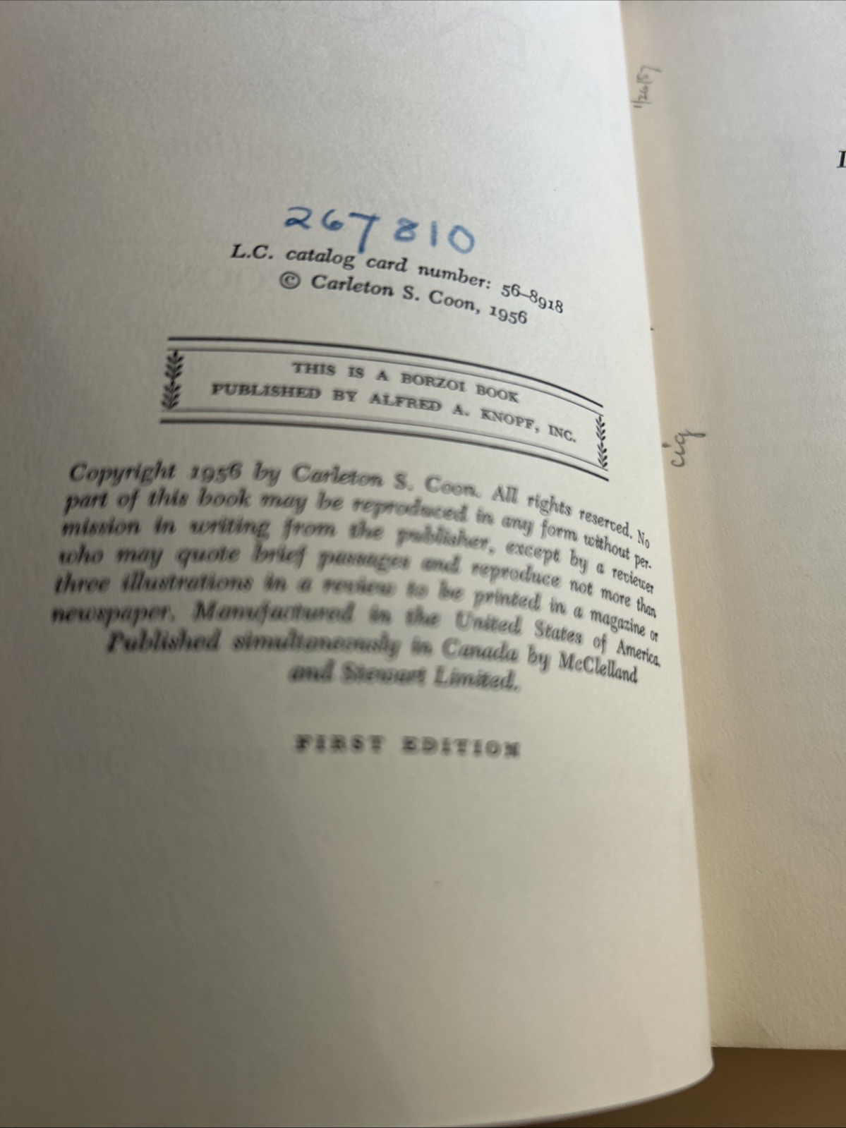 SEVEN CAVES~Carleton Coon~1956 1st ed Archaeology Tangier xlib 📕 h2914