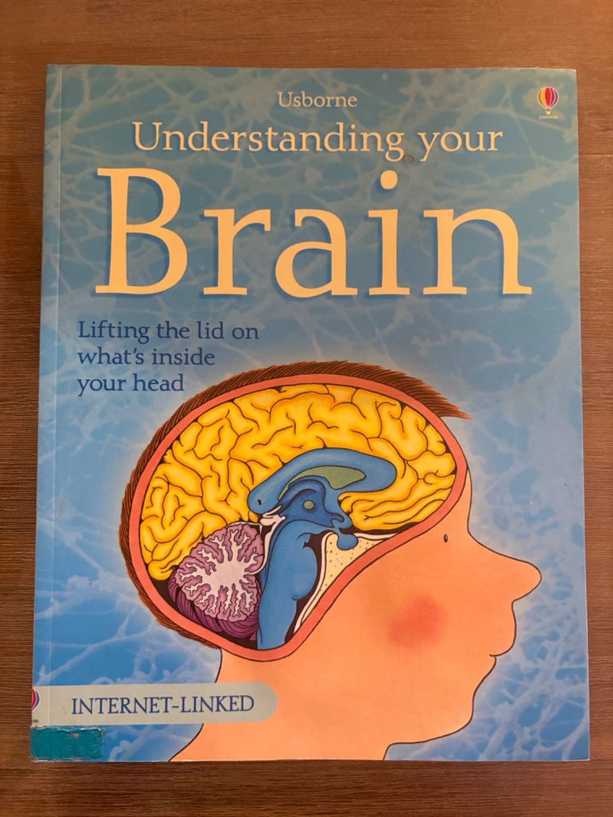 Usborne Understanding Your Brain – Internet Linked by Rebecca Treays