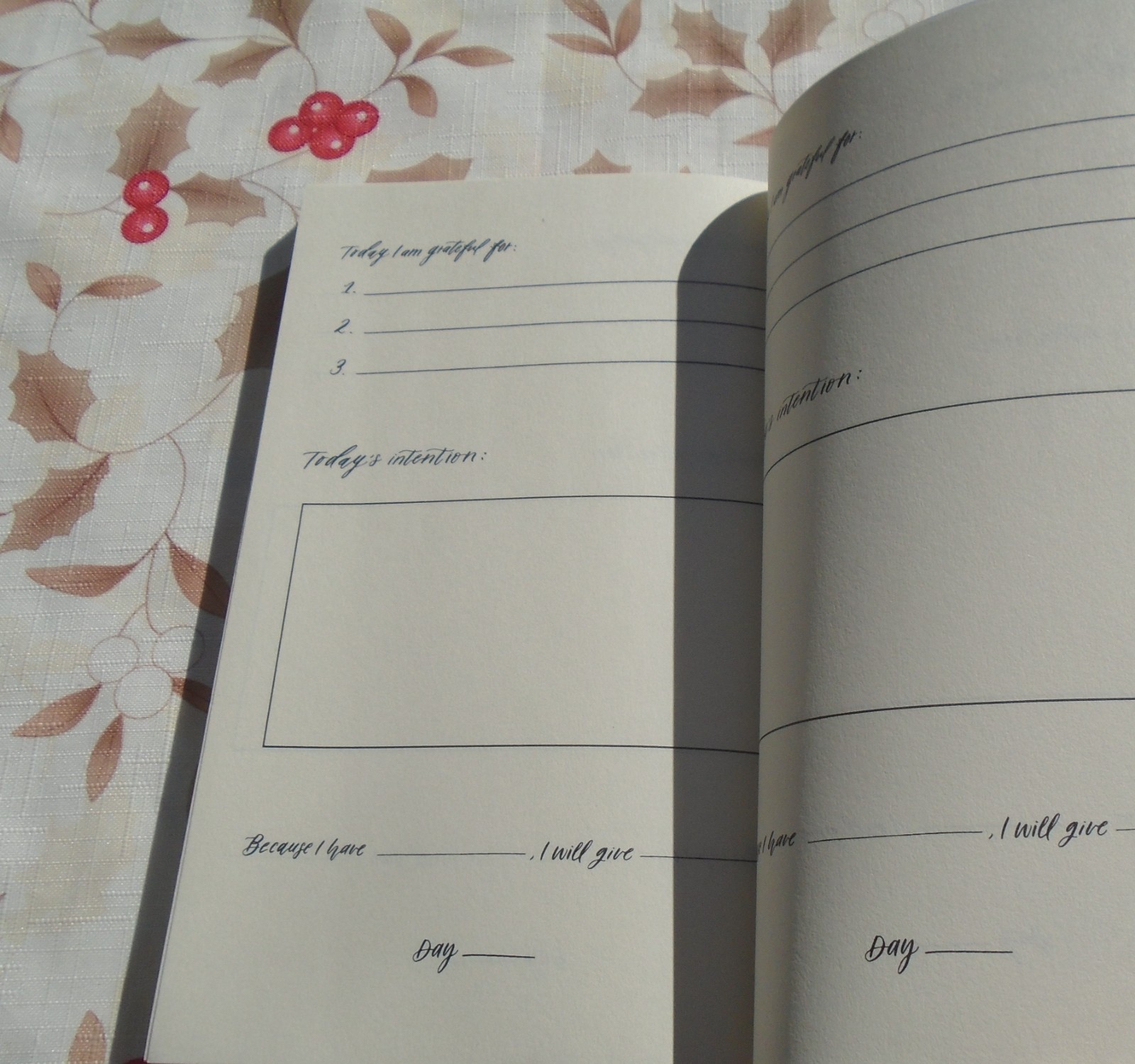 Growing in Gratitude Journal: 150 Days of Expressing Thanks