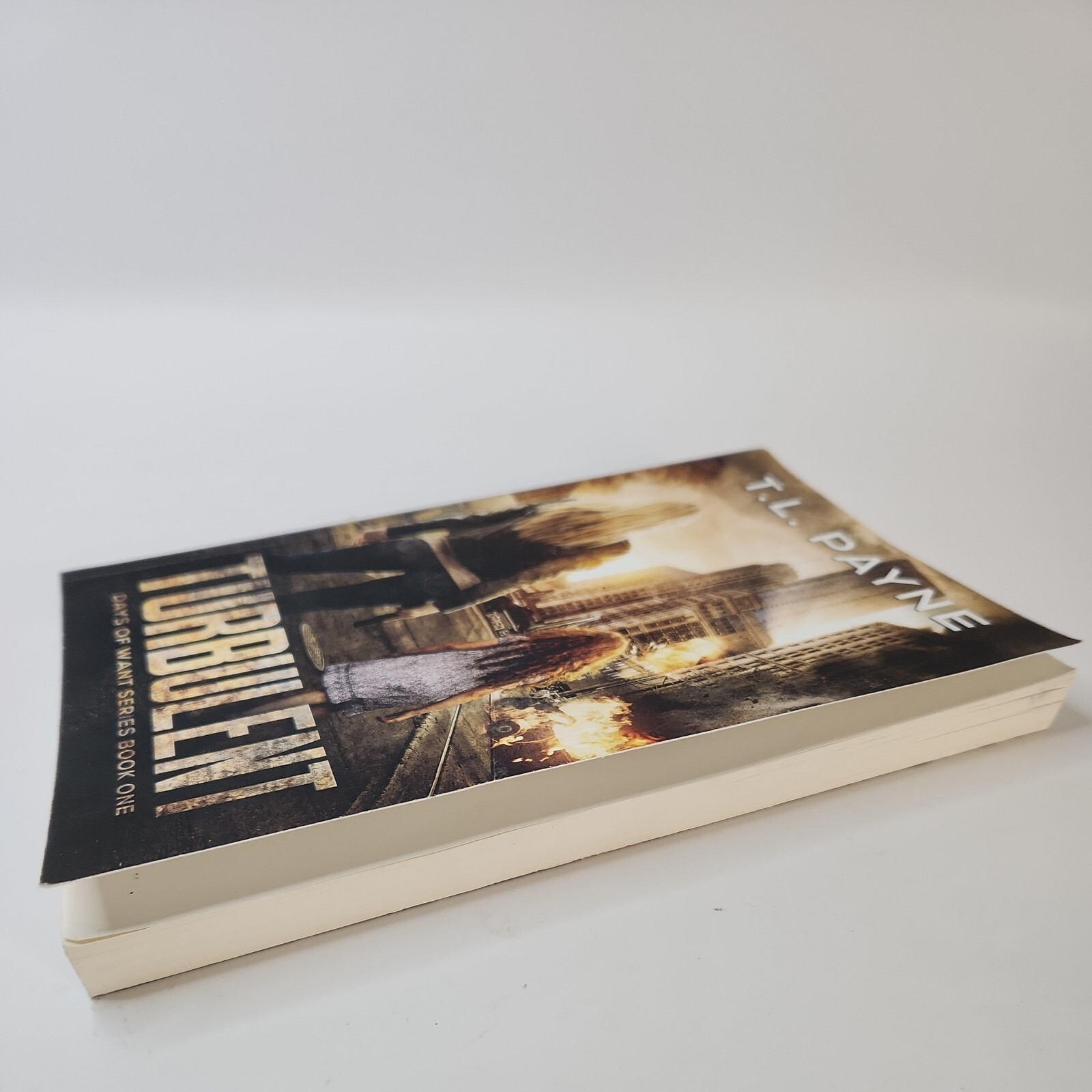 Days of Want Ser. Book 1: Turbulent : A Post Apocalyptic EMP Survival Thriller
