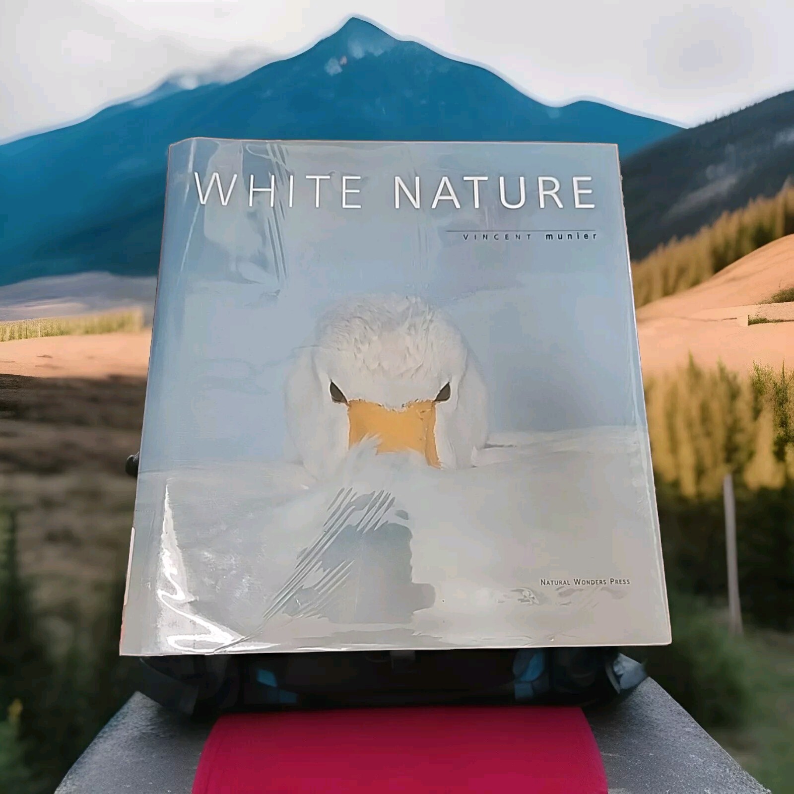White Nature