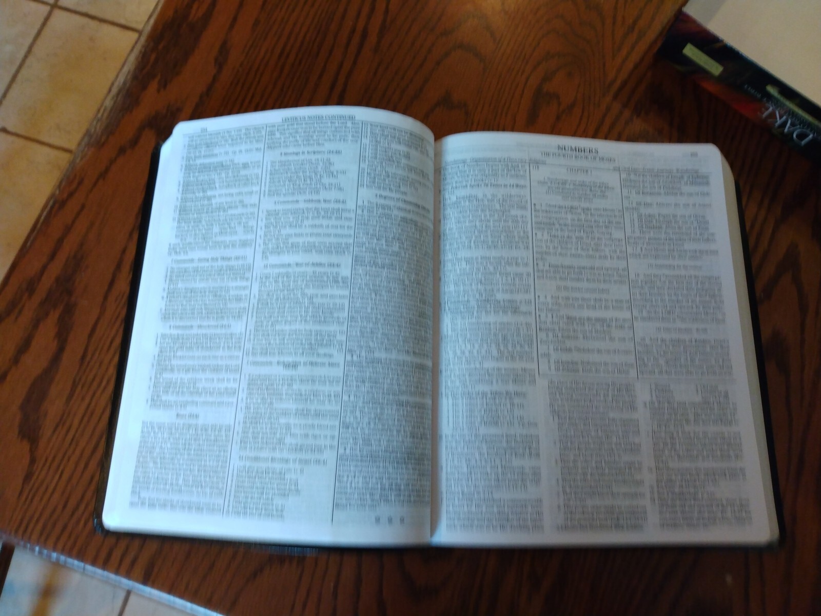 KJV Dake’s Annotated Reference Bible LARGE PRINT Black bonded Leather