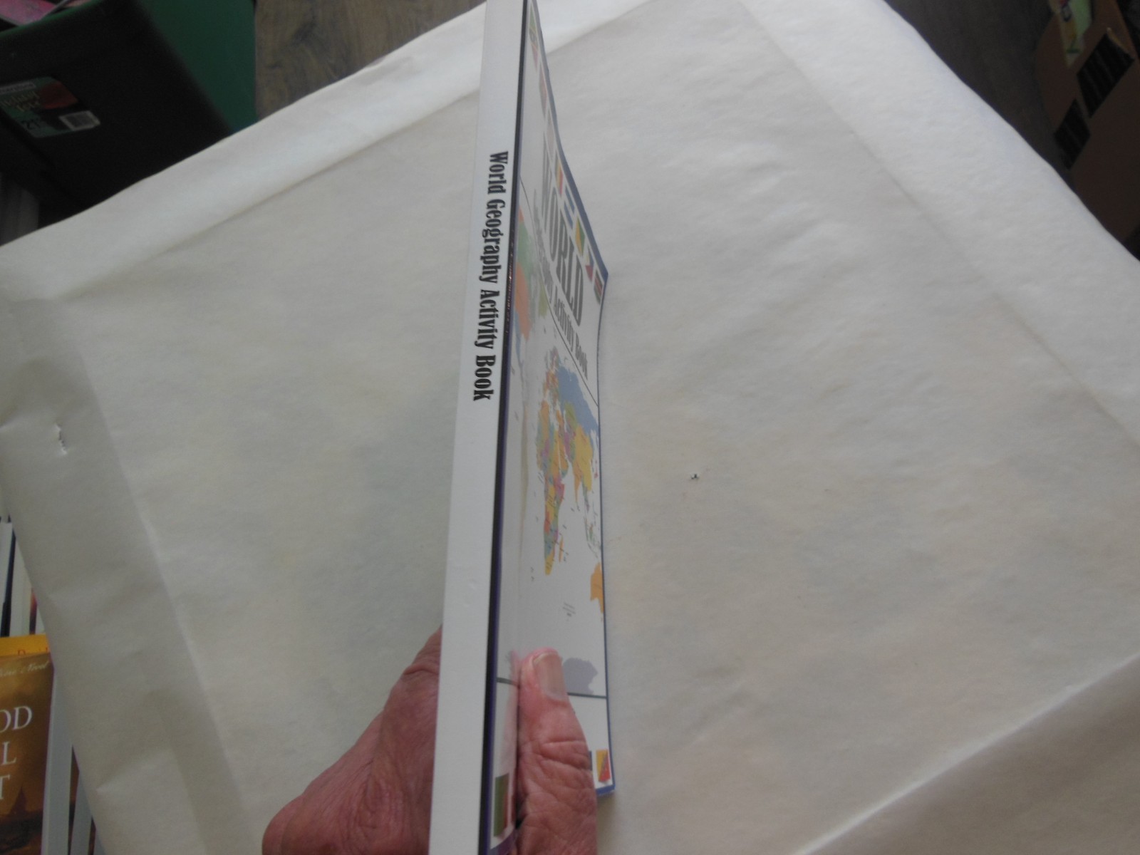 World Geography Activity Book by J. R. Grady and Dylanna Press (2023, Trade…