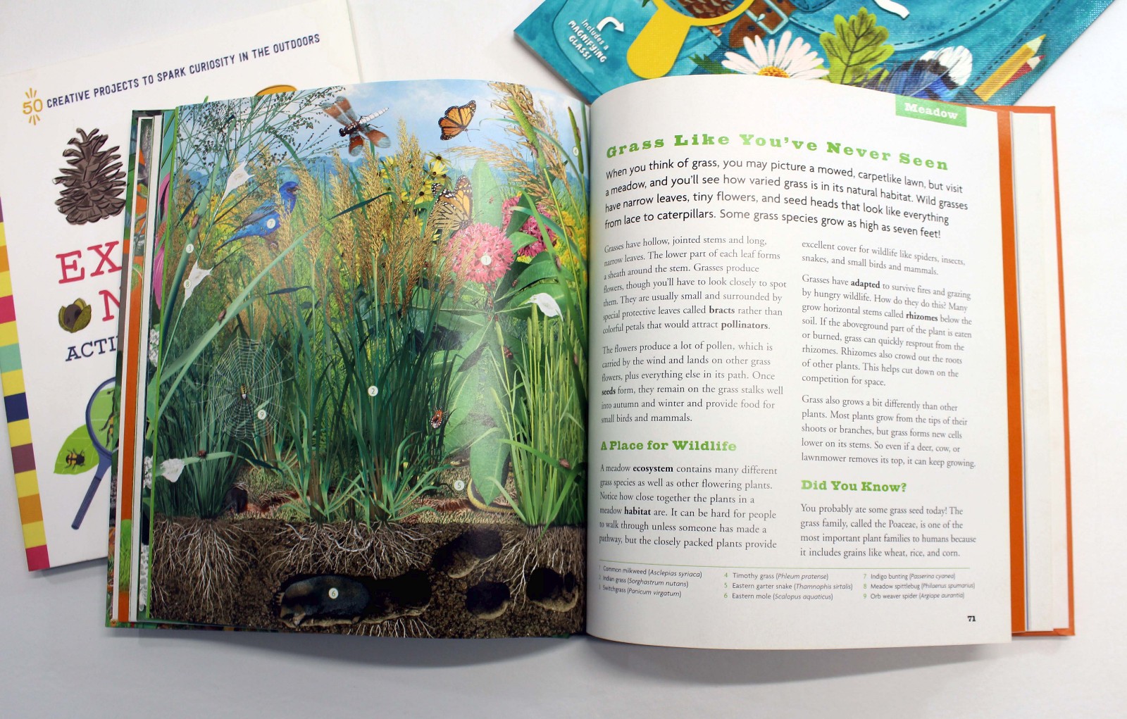 Kids Exploring Outdoors Nature Books Guides Activities Projects Mapping Tracking